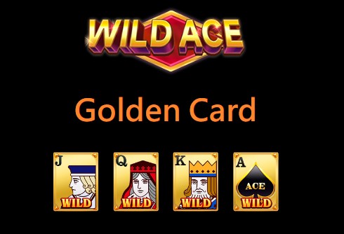 wild ace wild card