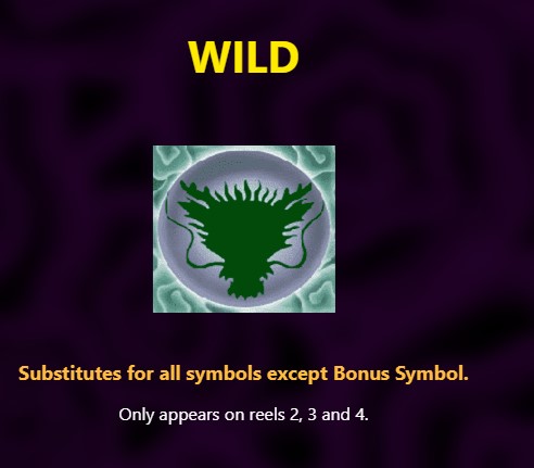 wild symbol 5 dragons slot