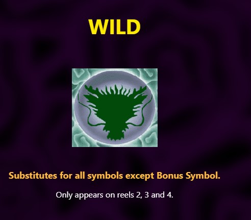 wild symbol 5 dragons slot
