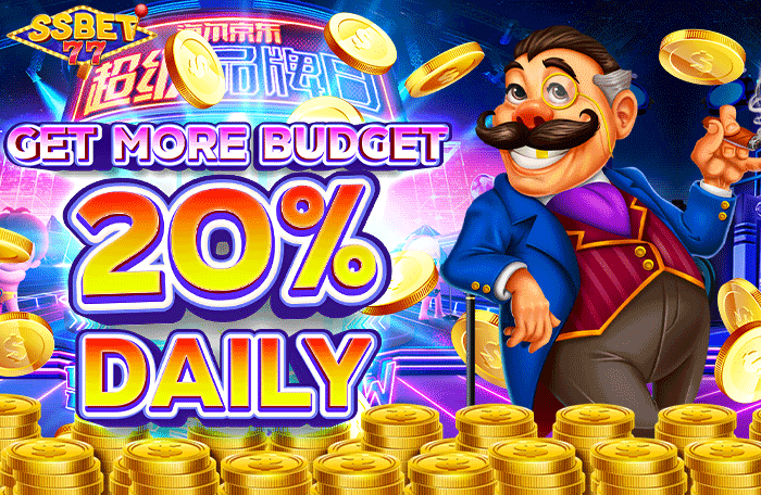 Get More Budget 20% Daily