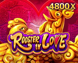 rooster in love