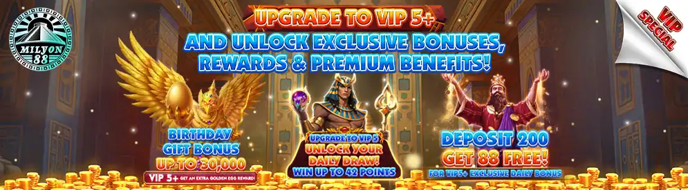 VIP PROMOS